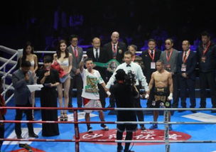 蘇州拳壇激情綻放 向靜成功衛冕，中國職業拳擊新年啟航