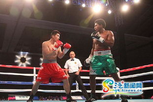 2015世界拳擊聯賽三亞落幕 中國龍不敵墨西哥勇士，拳擊賽事組織迎發展契機