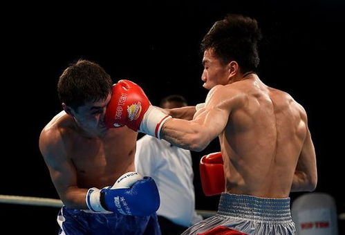 拳擊世錦賽中國雙雄晉級四強，明晨決戰奧運資格